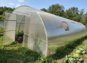 Теплиця Львів’янка шириною 4м (полікарбонат) Довжина: 4,6,8,10,20 м