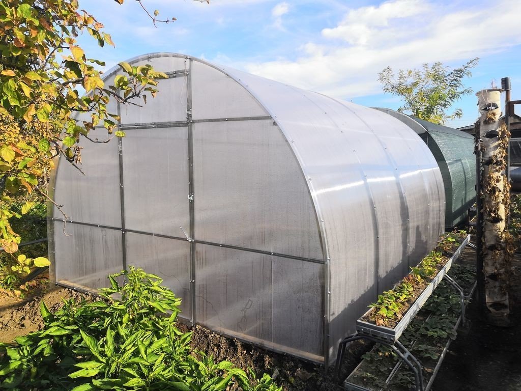 Теплиця Вінничанка 3х4м (полікарбонат) - Зображення 4