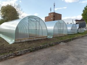 Теплиця Вінничанка 4х8 м (полікарбонат)