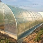 Теплиця Вінничанка T40 Ш 3м (плівка) Довжина 4,6,8,10